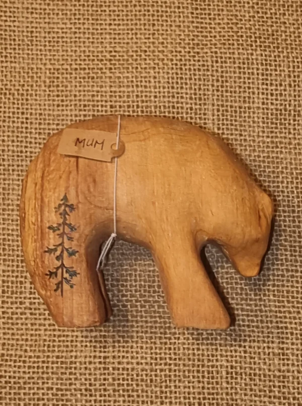 ours-moyen-face-droite