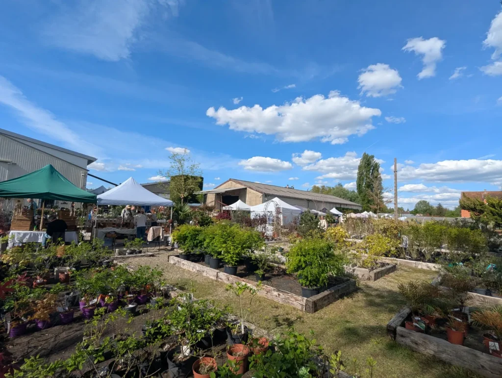 vue du marché gmj